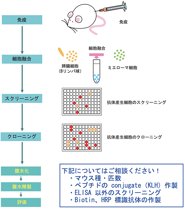 基本行程イメージ