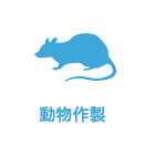 動物作製
