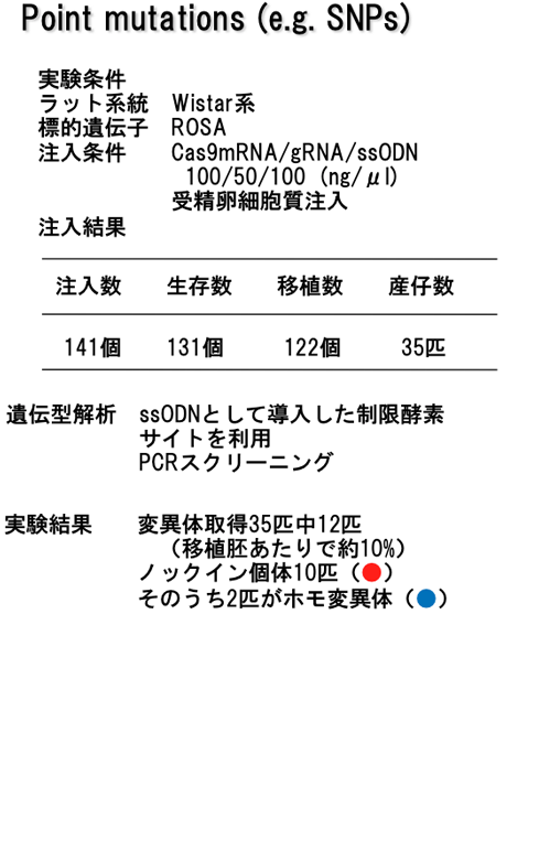 KO_図1