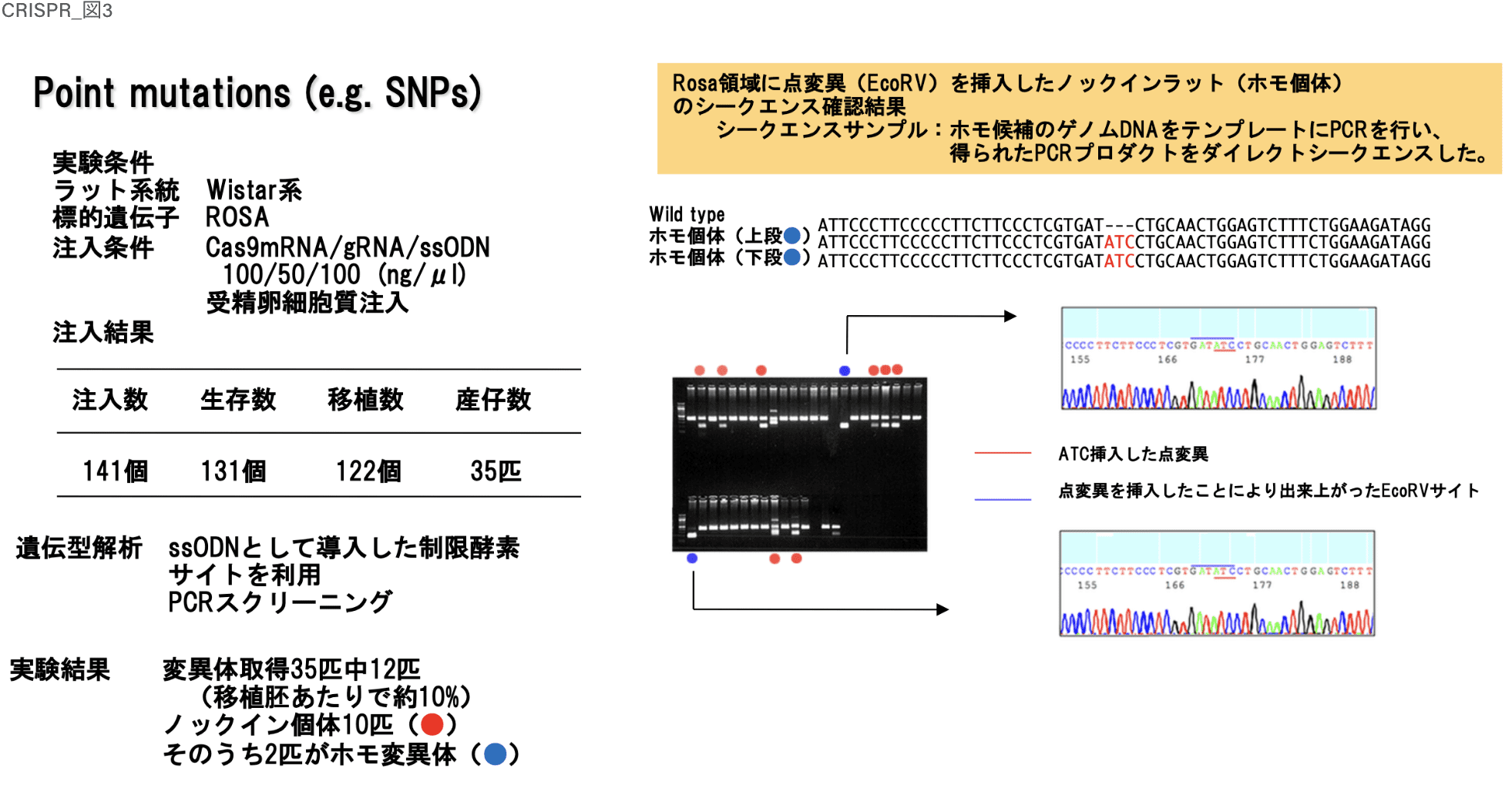 図3