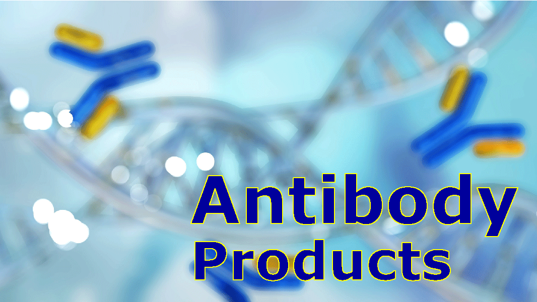 Antibody Products